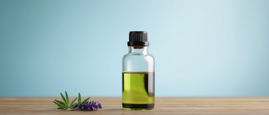 精油入門 | 天然植物精油的基礎知識與正確使用方法