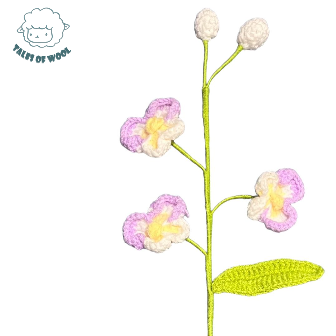 蝴蝶蘭【成品/單枝】