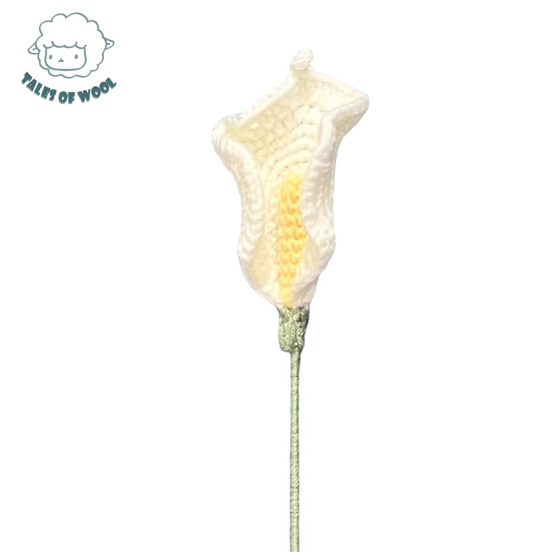 馬蹄蓮【成品/單枝】